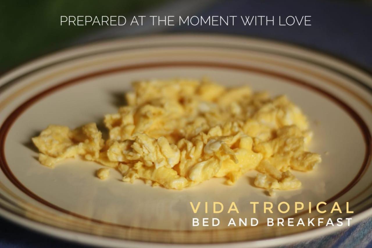 Vida Tropical Bed and Breakfast Alajuela Esterno foto
