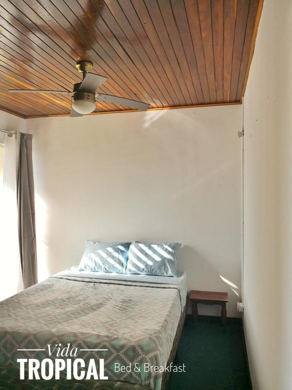 Vida Tropical Bed and Breakfast Alajuela Esterno foto
